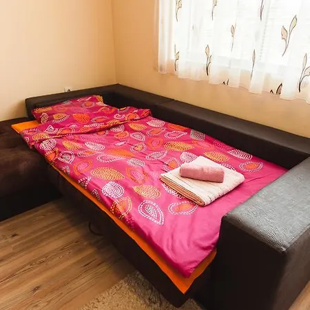Apartment Vlaykov *