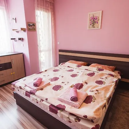 Apartment Vlaykov *